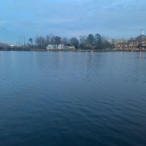 Meet your Posher, Sasha